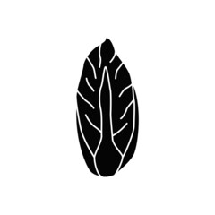 Endive icon in black flat glyph, filled style isolated on white background