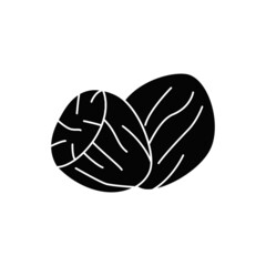 Nutmeg icon in black flat glyph, filled style isolated on white background