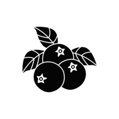 Blueberry fruit icon in black flat glyph, filled style isolated on white background