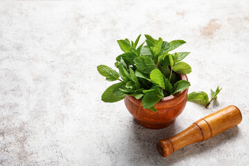 Mortar and pestle with mint leaves on light background