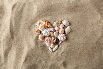 nature and summer holidays concept - different sea shells on beach sand