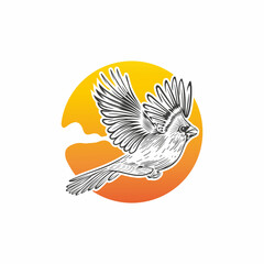  cardinal bird vector, which flies under the sun