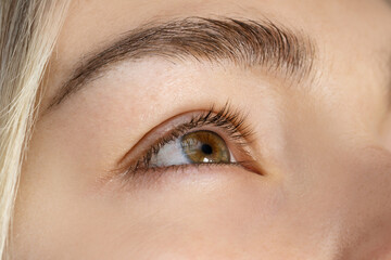 Fototapeta premium Closeup of female eye without makeup
