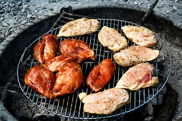 Grilling Chicken Over a Campfire 