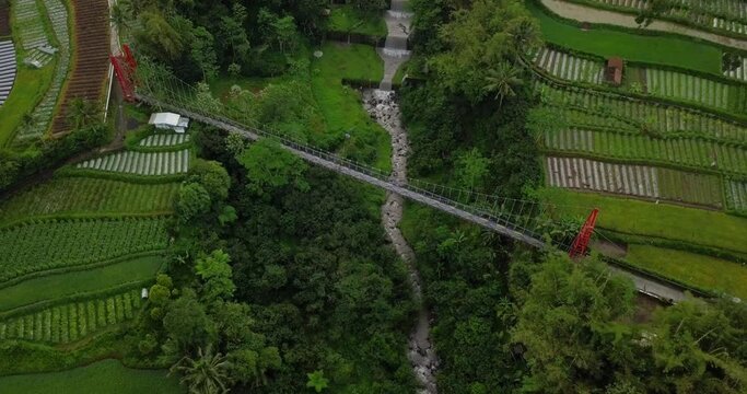 Aerial drone view of suspension bridge, valley and river with waterfalls. mangunsuko bridge or Jokowi bridge with motorcycle crossing on it. infrastructure transportation videos