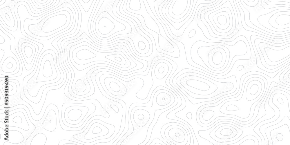 Poster topographic map patterns, topography line map. cartography background, white wave paper curved relie