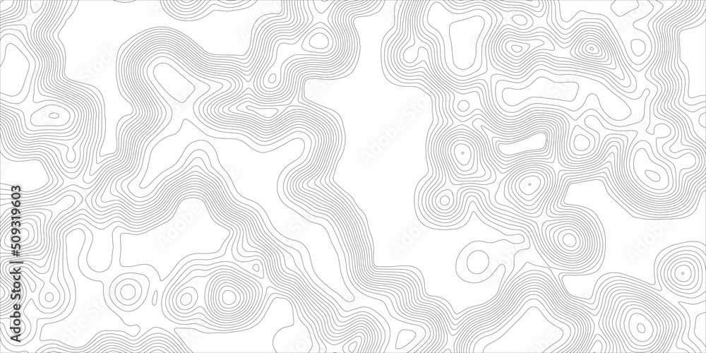 Poster topography and geography map grid abstract backdrop. business concept. topographic map lines backgro
