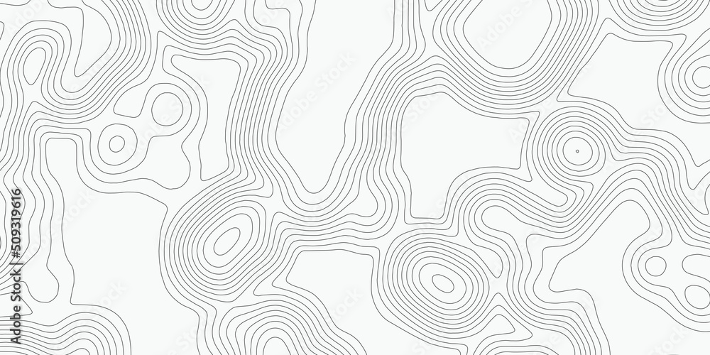 Poster modern detailed digital ui topographic map vector abstract, topographic line contour map background,
