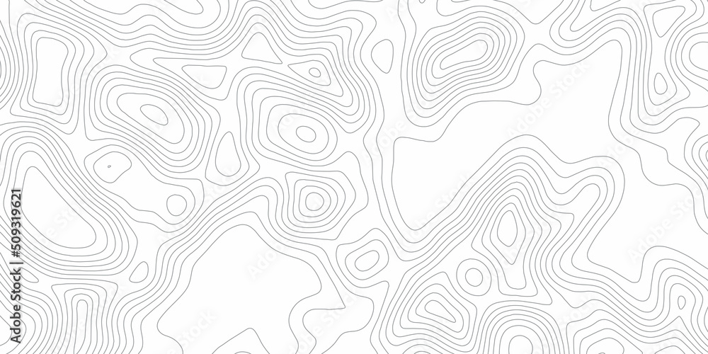 Poster topographic map seamless pattern. vector background, topographic map. topographical background.