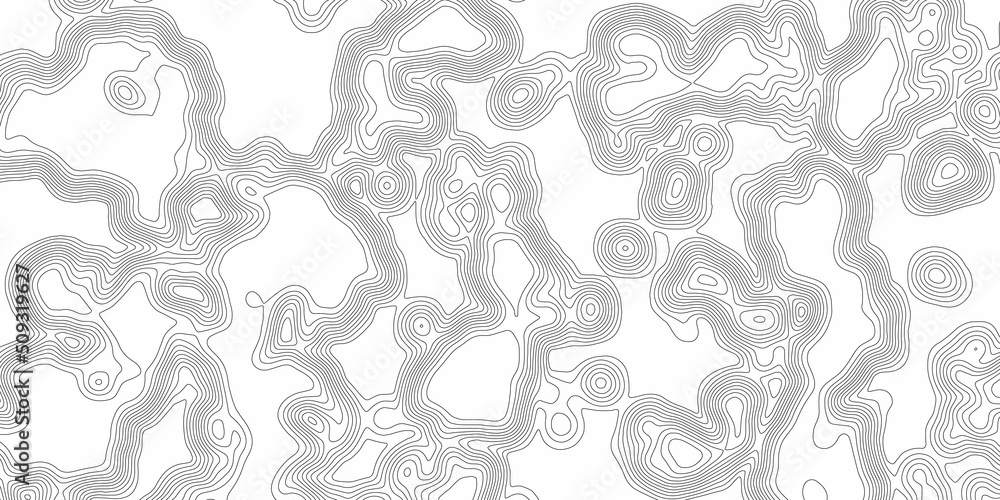 Poster modern detailed digital ui topographic map vector abstract, topographic line contour map background,