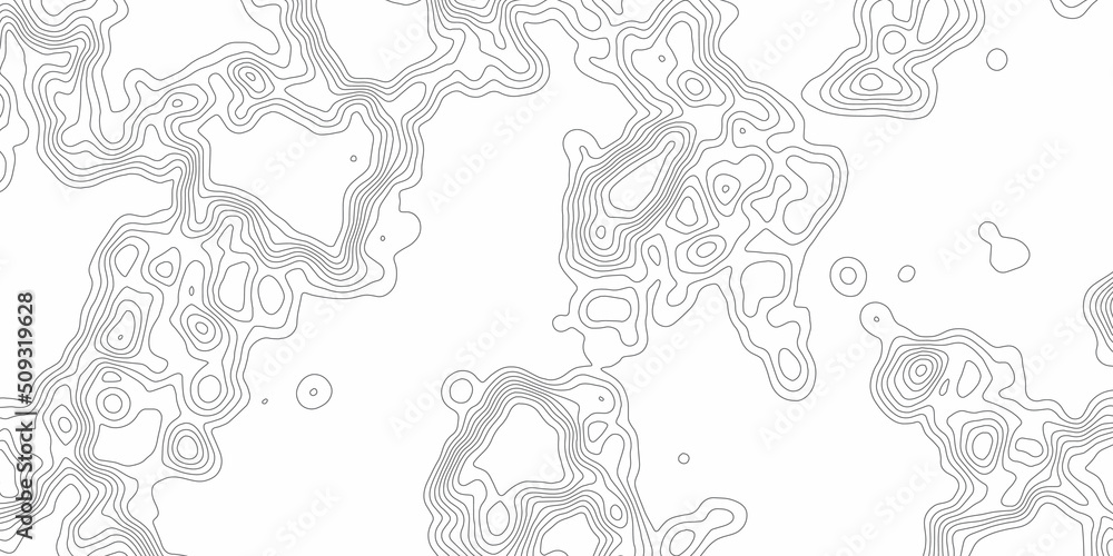 Poster topography relief. abstract background. image grid geographic relief topographic contour line maps c