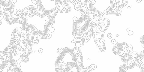 Topography relief. Abstract background. Image grid geographic relief topographic contour line maps cartography texture, vector illustration