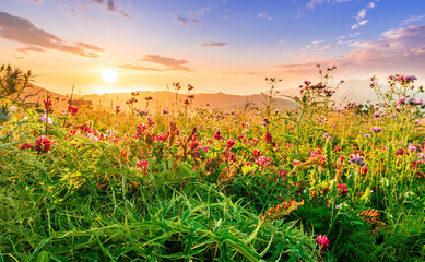 picturesque highland landscape with amazing view from hill with golden grass and green bushes
