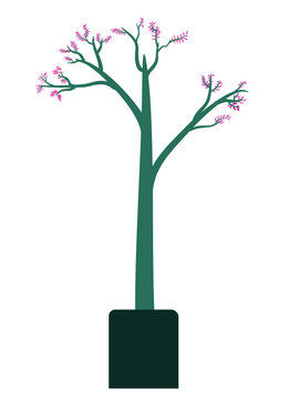 illustration of tree with pink flowers