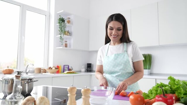 Very beautiful chef woman cutting tomatoes broadcast cooking blog