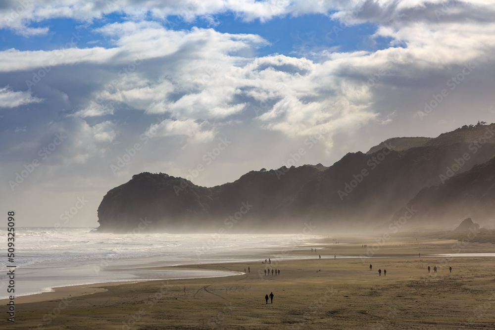 Wall mural the black sand beach at piha, new zealand, with a strong wind blowing sand inshore. at the end of th