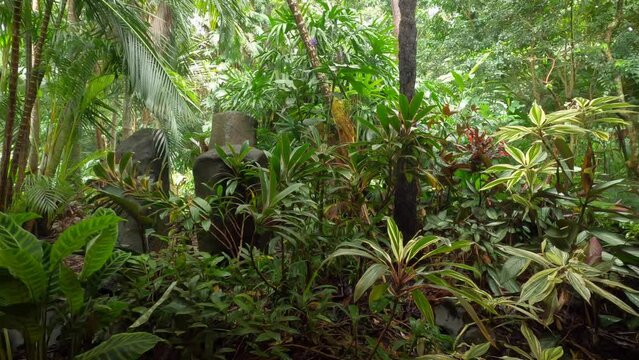 An unusual rock formation or statue in a rainforest or jungle. Treasure concept.