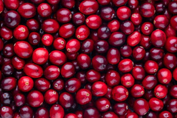 Cranberry bio background, food background.