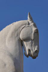 Head of Horse statue in Italy