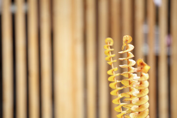 Closeup of a sticks of spiral fried potato