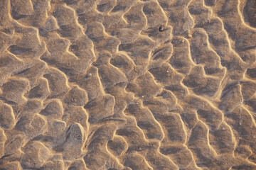 Fototapeta na wymiar Golden beach sand pattern abstract.