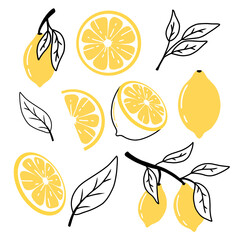 Set of lemons in doodle style. Collection of lemons on a branch, a slice of a lemon, half a lemon. Vector illustration.