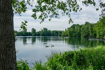 Eller Forst © ulikloes