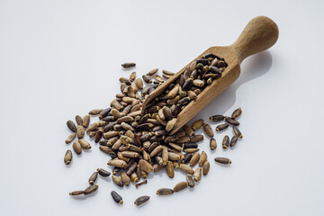 milk thistle seeds on a white acrylic background