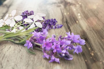 Beautiful fresh aroma Lavender flowers