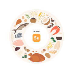 WebHealthy food guide concept. Vector flat illustration. Infographic of selenium se vitamin sources. Circle frame chart. Colorful meat, seafood, grain, seeds and nuts icon set. - obrazy, fototapety, plakaty