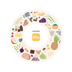 Healthy food guide concept. Vector flat illustration. Infographic of manganese mn vitamin sources. Circle frame chart. Colorful seafood, fruit, grain, seeds icon set.