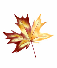 Naklejka na ściany i meble Colourful autumn watercolour leaf. Watercolor isolated on white background.