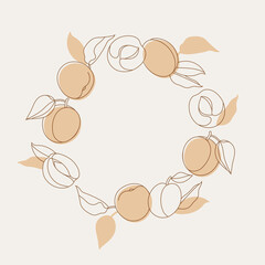 Vector illustration circle composition with apricot fruits. Trendy background with apricots.