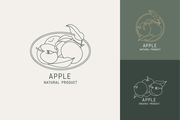 Vector illustration apple fruits - vintage minimalist style. Logos set composition in retro botanical style.