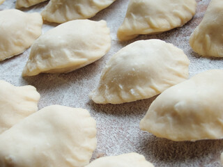 cooking. Dumplings with cheese. Ready for cooking dumplings with cottage cheese.