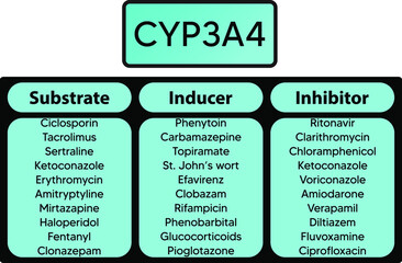 CYP3A4 Cytochrome p450 enzyme pharmaceutical substrates, inhibitors and inducers examples, for pharmacology, medicine, biochemistry education.
