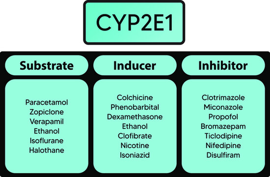 CYP2E1 Cytochrome p450 enzyme pharmaceutical substrates, inhibitors and inducers examples, for pharmacology, medicine, biochemistry education.