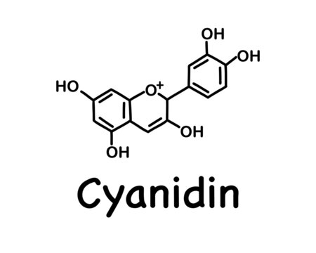 Cyanidin is a natural organic compound, a special type of anthocyanidin. Chemical structure of anthocyanin (C15H11O6). Vector illustration