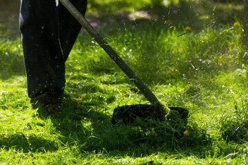 lawn trimming with garden equipment. backyard green grass maintenance in spring