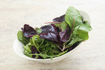 Vegetarian mix green vitamin salad