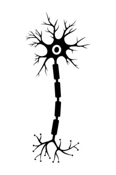 recommend clip art: Brain neuron symbol. Human neuron cell sign. Synapses, myelin sheat, cell body, nucleus, axon and dendrites icon. Neurology illustration