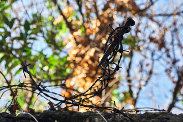 Nail trapped by barbed wire