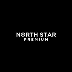 Fototapeta na wymiar north star letter logo with star icon design
