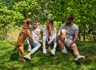 Leisure activities. Group of friends sitting in the park having fun and playing with a dog