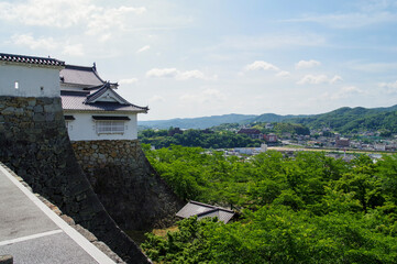 津山城跡から眺める津山の市街地