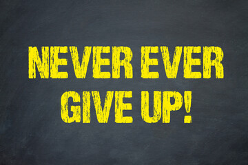 Never ever give up!