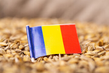 Harvest of barley in Romania concept. Small paper flag of Romania on barley grain