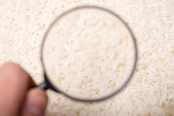 Studying rice concept. Magnifying glass on grain of rice