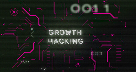 Image of interference over growth hacking text, data processing and computer circuit board