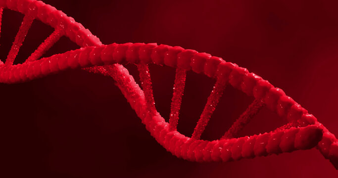 Image of dna strand on red background